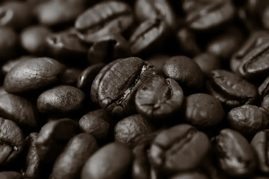 Close-up macro of premium roasted coffee beans showcasing rich texture, glossy surface, and deep brown tones, highlighting freshness and specialty coffee quality.