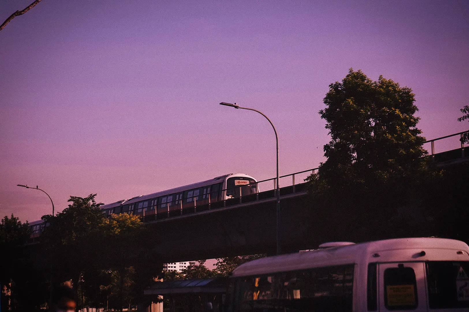 Singapore MRT train traveling along an elevated track at sunset with city streets, buses, and trees in the foreground