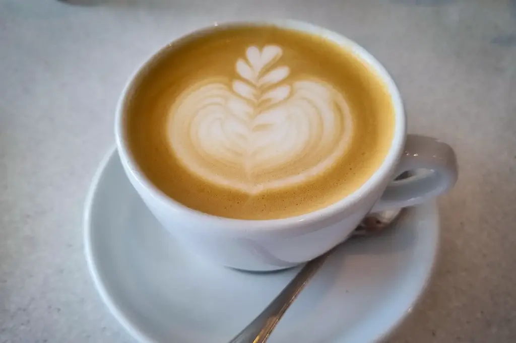 Freshly brewed latte with elegant leaf latte art served in a white ceramic cup at Apollo Coffee Bar in Serangoon Gardens, Singapore.