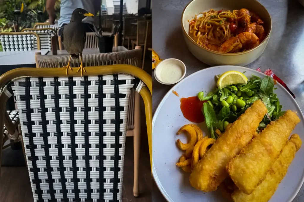 A composite view at Wildseed Cafe in Singapore featuring a comforting meal of fish and chips with curly fries and a bowl of prawn pasta, alongside a common myna bird perched on a woven cafe chair.