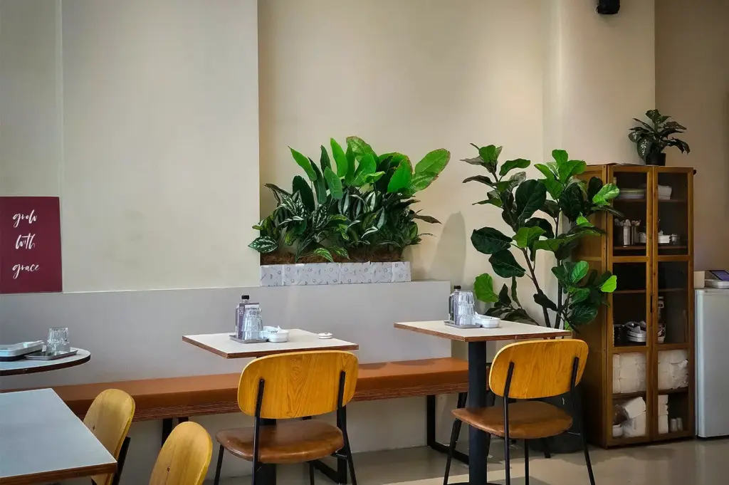 Cozy seating area at Daily Ground in Bukit Timah with wooden chairs, indoor potted plants, warm lighting, and a wooden display cabinet